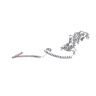 14804_7znk_M_v1-2
Structure of an endogenous human TREX complex bound to mRNA