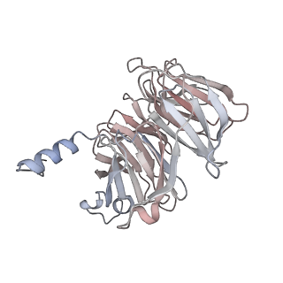 14804_7znk_N_v1-2
Structure of an endogenous human TREX complex bound to mRNA