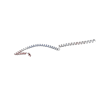 14804_7znk_O_v1-2
Structure of an endogenous human TREX complex bound to mRNA