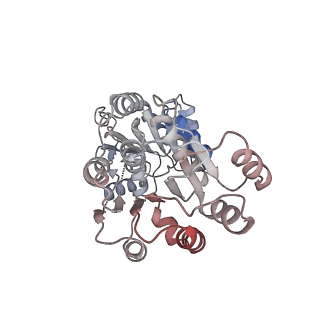 14804_7znk_P_v1-2
Structure of an endogenous human TREX complex bound to mRNA