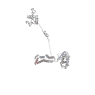 14804_7znk_a_v1-2
Structure of an endogenous human TREX complex bound to mRNA