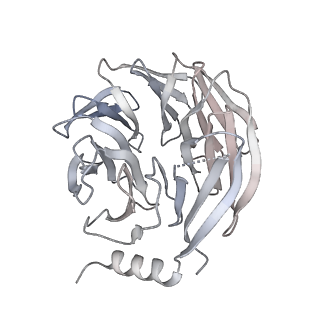 14804_7znk_c_v1-2
Structure of an endogenous human TREX complex bound to mRNA
