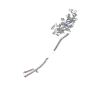 14804_7znk_e_v1-2
Structure of an endogenous human TREX complex bound to mRNA