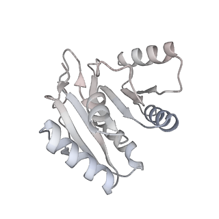 14804_7znk_h_v1-2
Structure of an endogenous human TREX complex bound to mRNA