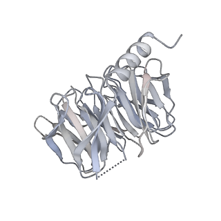 14804_7znk_k_v1-2
Structure of an endogenous human TREX complex bound to mRNA
