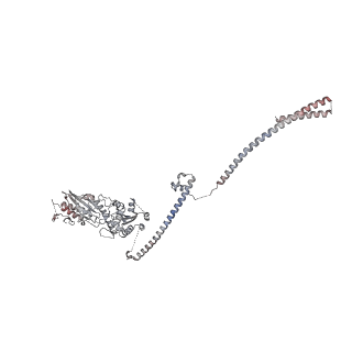 14804_7znk_m_v1-2
Structure of an endogenous human TREX complex bound to mRNA
