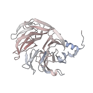 14804_7znk_n_v1-2
Structure of an endogenous human TREX complex bound to mRNA