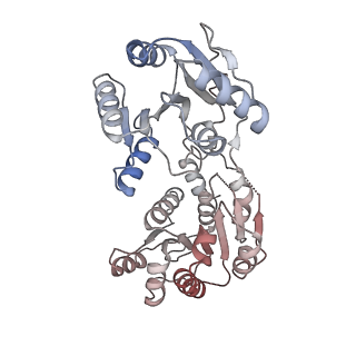 14804_7znk_p_v1-2
Structure of an endogenous human TREX complex bound to mRNA