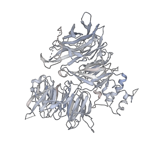 14812_7znn_A_v1-1
Cryo-EM structure of RCMV-E E27 bound to human DDB1 (deltaBPB) and full-length rat STAT2
