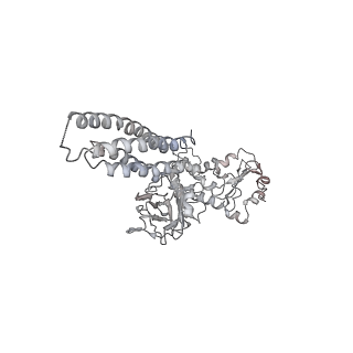 14812_7znn_D_v1-1
Cryo-EM structure of RCMV-E E27 bound to human DDB1 (deltaBPB) and full-length rat STAT2