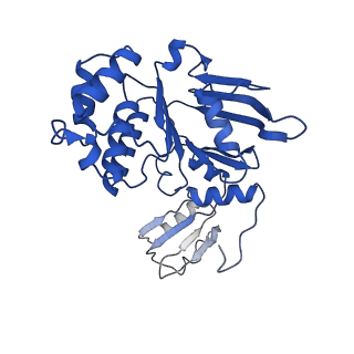 14813_7znq_F_v1-3
ABC transporter complex NosDFYL in GDN