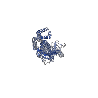 14814_7znu_A_v1-1
cryo-EM structure of CGT ABC transporter in detergent micelle