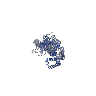 14814_7znu_B_v1-1
cryo-EM structure of CGT ABC transporter in detergent micelle
