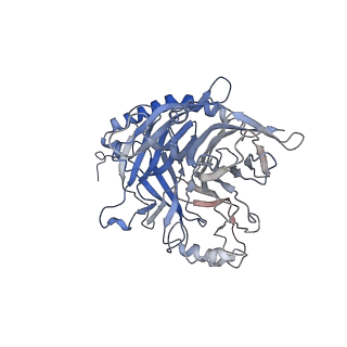 14842_7zny_A_v1-1
Cryo-EM structure of the canine distemper virus tetrameric attachment glycoprotein