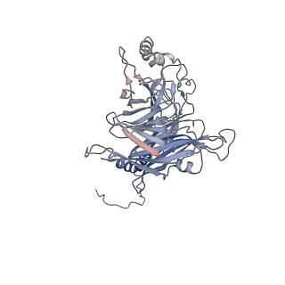 14842_7zny_B_v1-1
Cryo-EM structure of the canine distemper virus tetrameric attachment glycoprotein