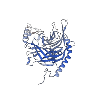 14842_7zny_C_v1-1
Cryo-EM structure of the canine distemper virus tetrameric attachment glycoprotein