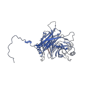 14842_7zny_D_v1-1
Cryo-EM structure of the canine distemper virus tetrameric attachment glycoprotein