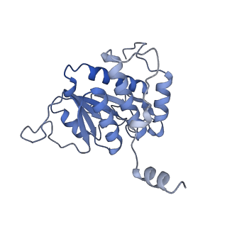 11321_6zok_A_v1-3
SARS-CoV-2-Nsp1-40S complex, focused on body