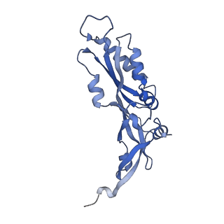 11321_6zok_B_v1-3
SARS-CoV-2-Nsp1-40S complex, focused on body