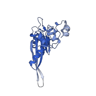 11321_6zok_C_v1-3
SARS-CoV-2-Nsp1-40S complex, focused on body