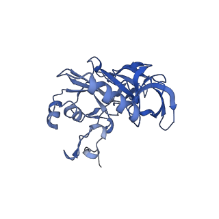11321_6zok_E_v1-3
SARS-CoV-2-Nsp1-40S complex, focused on body