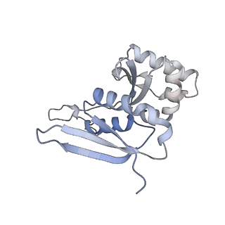 11321_6zok_H_v1-3
SARS-CoV-2-Nsp1-40S complex, focused on body