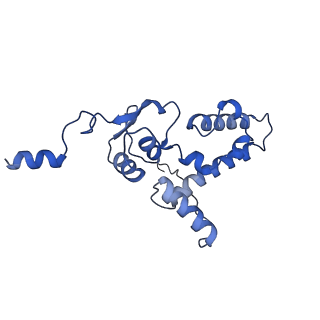 11321_6zok_J_v1-3
SARS-CoV-2-Nsp1-40S complex, focused on body
