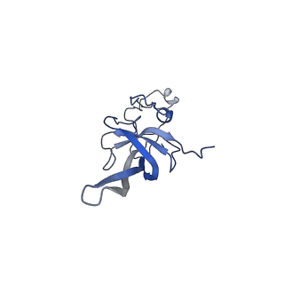 11321_6zok_L_v1-3
SARS-CoV-2-Nsp1-40S complex, focused on body