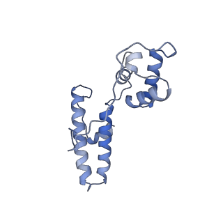11321_6zok_N_v1-3
SARS-CoV-2-Nsp1-40S complex, focused on body
