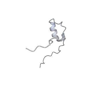 11321_6zok_R_v1-3
SARS-CoV-2-Nsp1-40S complex, focused on body