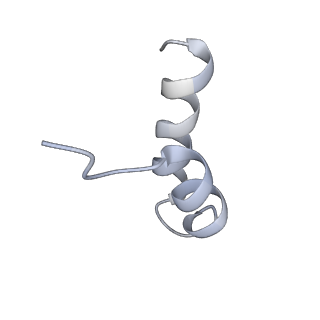 11321_6zok_j_v1-3
SARS-CoV-2-Nsp1-40S complex, focused on body