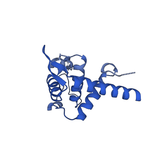 11322_6zol_T_v1-3
SARS-CoV-2-Nsp1-40S complex, focused on head