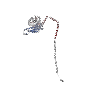 11325_6zon_A_v1-1
SARS-CoV-2 Nsp1 bound to a human 43S preinitiation ribosome complex - state 1