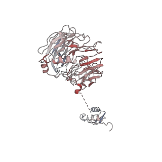 11325_6zon_B_v1-1
SARS-CoV-2 Nsp1 bound to a human 43S preinitiation ribosome complex - state 1