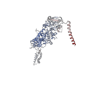 11325_6zon_C_v1-1
SARS-CoV-2 Nsp1 bound to a human 43S preinitiation ribosome complex - state 1