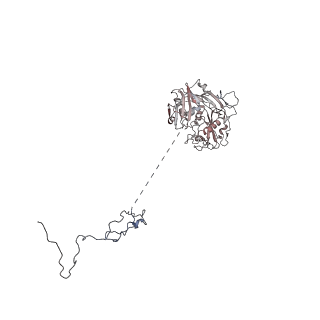 11325_6zon_D_v1-1
SARS-CoV-2 Nsp1 bound to a human 43S preinitiation ribosome complex - state 1