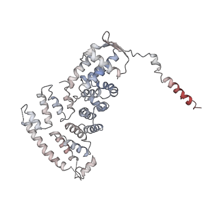 11325_6zon_E_v1-1
SARS-CoV-2 Nsp1 bound to a human 43S preinitiation ribosome complex - state 1