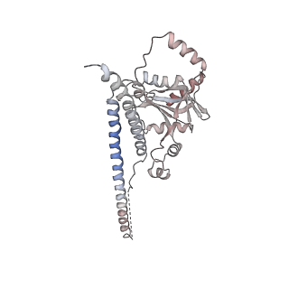 11325_6zon_H_v1-1
SARS-CoV-2 Nsp1 bound to a human 43S preinitiation ribosome complex - state 1