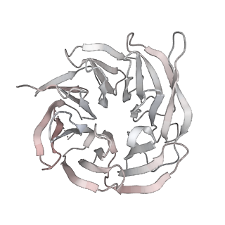 11325_6zon_I_v1-1
SARS-CoV-2 Nsp1 bound to a human 43S preinitiation ribosome complex - state 1