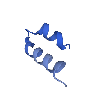11325_6zon_J_v1-1
SARS-CoV-2 Nsp1 bound to a human 43S preinitiation ribosome complex - state 1