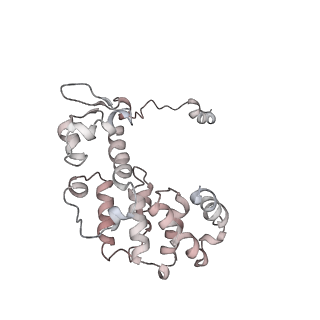 11325_6zon_K_v1-1
SARS-CoV-2 Nsp1 bound to a human 43S preinitiation ribosome complex - state 1