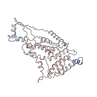 11325_6zon_L_v1-1
SARS-CoV-2 Nsp1 bound to a human 43S preinitiation ribosome complex - state 1