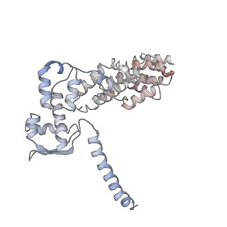 11325_6zon_M_v1-1
SARS-CoV-2 Nsp1 bound to a human 43S preinitiation ribosome complex - state 1
