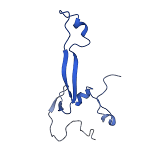 11325_6zon_Q_v1-1
SARS-CoV-2 Nsp1 bound to a human 43S preinitiation ribosome complex - state 1