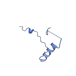 11325_6zon_T_v1-1
SARS-CoV-2 Nsp1 bound to a human 43S preinitiation ribosome complex - state 1