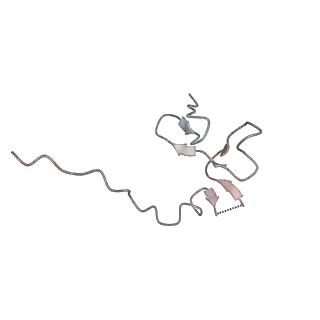 11325_6zon_U_v1-1
SARS-CoV-2 Nsp1 bound to a human 43S preinitiation ribosome complex - state 1