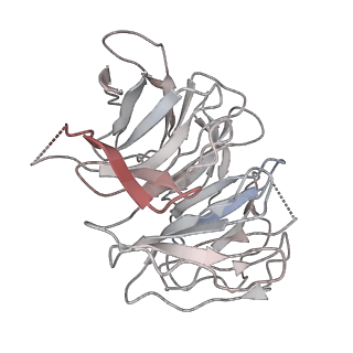 11325_6zon_V_v1-1
SARS-CoV-2 Nsp1 bound to a human 43S preinitiation ribosome complex - state 1