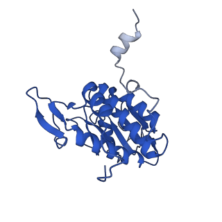 11325_6zon_a_v1-1
SARS-CoV-2 Nsp1 bound to a human 43S preinitiation ribosome complex - state 1