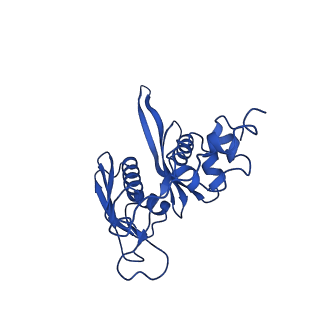 11325_6zon_d_v1-1
SARS-CoV-2 Nsp1 bound to a human 43S preinitiation ribosome complex - state 1