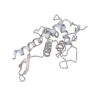 11325_6zon_e_v1-1
SARS-CoV-2 Nsp1 bound to a human 43S preinitiation ribosome complex - state 1